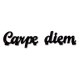 CARPE DIEM wieszak na ubrania lub klucze Briso design